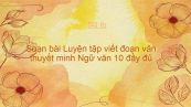 Soạn bài Luyện tập viết đoạn văn thuyết minh Ngữ văn 10 đầy đủ