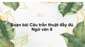 Soạn bài Câu trần thuật Ngữ văn 8 đầy đủ