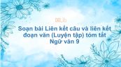 Soạn bài Liên kết câu và liên kết đoạn văn (Luyện tập) Ngữ văn 9 tóm tắt