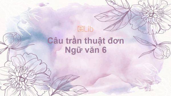 Câu trần thuật đơn Ngữ văn 6