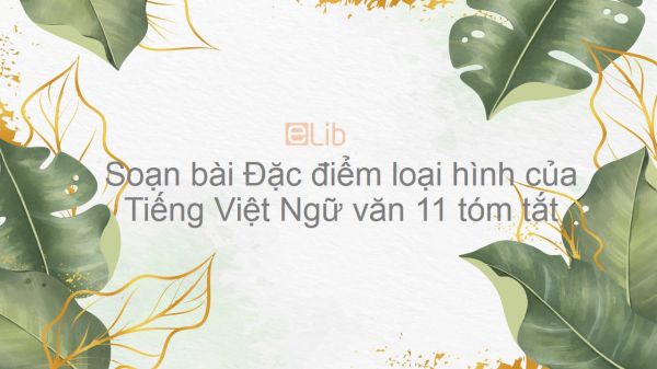 Soạn bài Đặc điểm loại hình của Tiếng Việt Ngữ văn 11 tóm tắt
