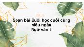 Soạn bài Buổi học cuối cùng Ngữ văn 6 siêu ngắn