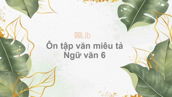 Ôn tập văn miêu tả Ngữ văn 6