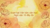 Soạn bài Văn bản văn học Ngữ văn 10 đầy đủ