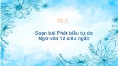 Soạn bài Phát biểu tự do Ngữ văn 12 siêu ngắn