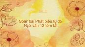 Soạn bài Phát biểu tự do Ngữ văn 12 tóm tắt