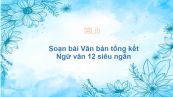 Soạn bài Văn bản tổng kết Ngữ văn 12 siêu ngắn