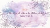 Ôn tập về dấu câu (Dấu phẩy)