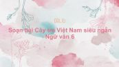 Soạn bài Cây tre Việt Nam Ngữ văn 6 siêu ngắn