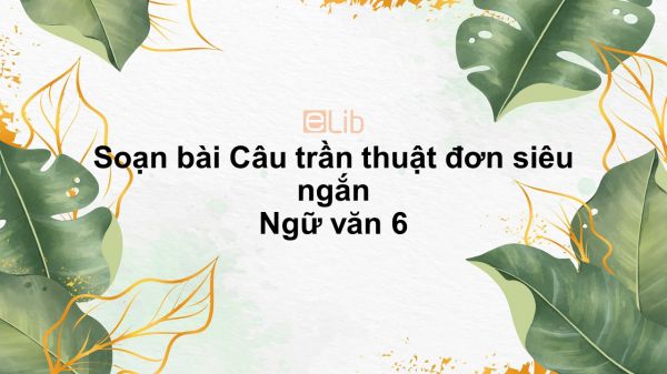 Soạn bài Câu trần thuật đơn Ngữ văn 6 siêu ngắn