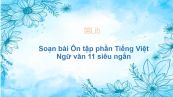 Soạn bài Ôn tập phần Tiếng Việt Ngữ văn 11 siêu ngắn