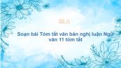 Soạn bài Tóm tắt văn bản nghị luận Ngữ văn 11 tóm tắt