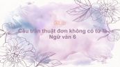 Câu trần thuật đơn không có từ là Ngữ văn 6