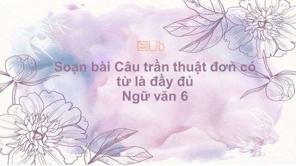 Soạn bài Câu trần thuật đơn có từ là Ngữ văn 6 đầy đủ