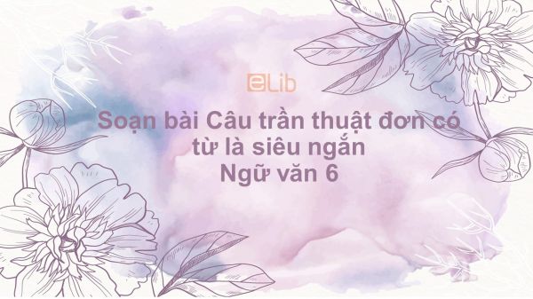 Soạn bài Câu trần thuật đơn có từ là Ngữ văn 6 siêu ngắn