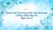 Soạn bài Chương trình địa phương - Tiếng Việt Ngữ văn 9 đầy đủ