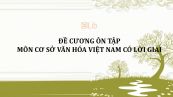 Đề cương ôn tập môn Cơ sở văn hóa Việt Nam có lời giải
