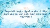 Soạn bài Luyện tập đưa yếu tố biểu cảm vào bài văn nghị luận Ngữ văn 8 siêu ngắn