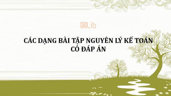 Các dạng bài tập Nguyên lý kế toán có đáp án