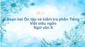 Soạn bài Ôn tập và kiểm tra phần Tiếng Việt Ngữ văn 8 siêu ngắn