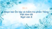 Soạn bài Ôn tập và kiểm tra phần Tiếng Việt Ngữ văn 8 tóm tắt