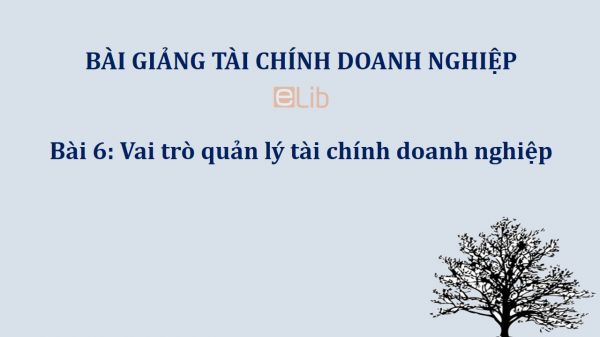 Bài 6: Vai trò quản lý tài chính doanh nghiệp