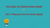 Bài 1: Tổng quan vốn của doanh nghiệp
