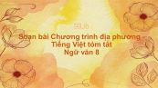 Soạn bài Chương trình địa phương - Tiếng Việt Ngữ văn 8 tóm tắt