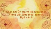 Soạn bài Ôn tập và kiểm tra phần Tiếng Việt (tiếp theo) Ngữ văn 8 tóm tắt