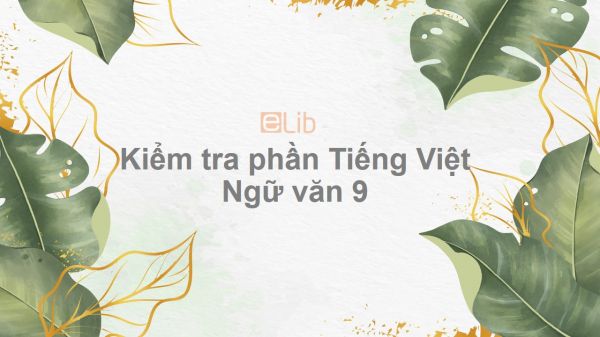 Kiểm tra phần Tiếng Việt Ngữ văn 9