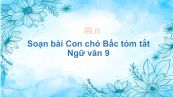 Soạn bài Con chó Bấc Ngữ văn 9 tóm tắt