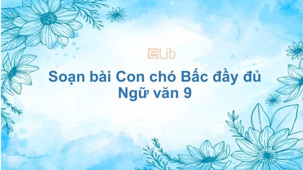 Soạn bài Con chó Bấc Ngữ văn 9 đầy đủ