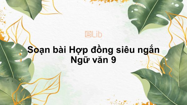 Soạn bài Hợp đồng Ngữ văn 9 siêu ngắn