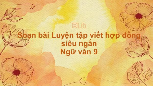 Soạn bài Luyện tập viết hợp đồng Ngữ văn 9 siêu ngắn