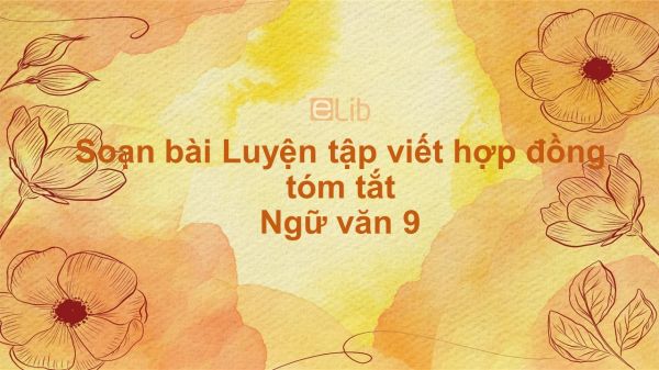 Soạn bài Luyện tập viết hợp đồng Ngữ văn 9 tóm tắt