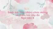 Soạn bài Thư (điện) chúc mừng và thăm hỏi Ngữ văn 9 đầy đủ