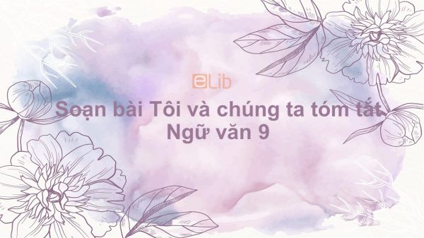 Soạn bài Tôi và chúng ta Ngữ văn 9 tóm tắt