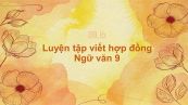 Luyện tập viết hợp đồng