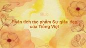 Phân tích tác phẩm Sự giàu đẹp của Tiếng Việt - Đặng Thai Mai