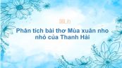 Phân tích bài thơ Mùa xuân nho nhỏ của Thanh Hải