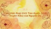 Cảm nhận đoạn trích Trao duyên (trích Truyện Kiều) của Nguyễn Du