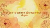 Phân tích 12 câu thơ đầu đoạn trích Trao duyên của Nguyễn Du