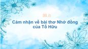 Cảm nhận về bài thơ Nhớ đồng của Tố Hữu