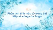 Phân tích tình mẫu tử trong bài Mây và sóng của Ta-go