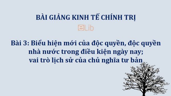 Bài 3: Biểu hiện mới của độc quyền, độc quyền nhà nước trong điều kiện ngày nay; vai trò lịch sử của chủ nghĩa tư bản