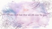 Phân tích Bài thơ số 28 của Ta-go