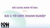 Bài 1: Tổ chức doanh nghiệp