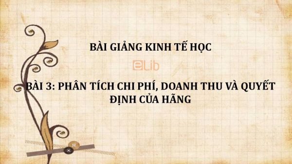 Bài 3: Phân tích chi phí, doanh thu và quyết định của hãng