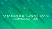 10 đề thi giữa HK1 môn Sinh 10 năm 2021-2022 có đáp án